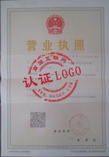 固安偉恒過濾設備廠 溫泉商務產業園中的工業明珠與商務簽證全攻略